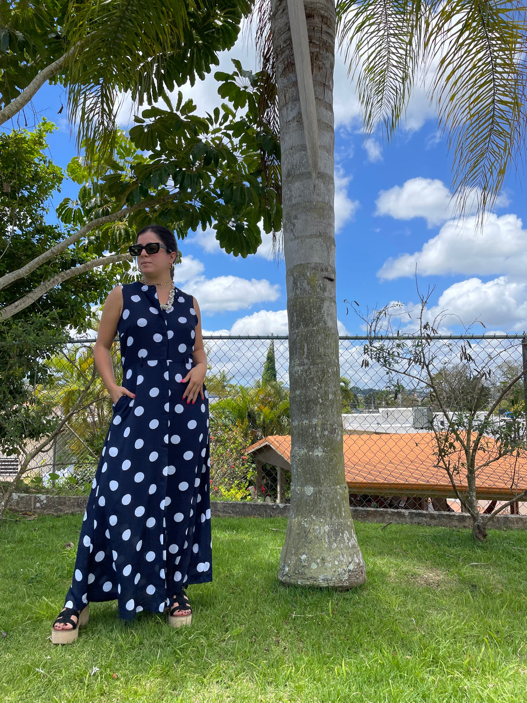 Polka Blue Dress